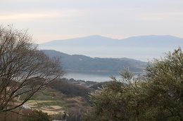 農園ブログ2月20日.5jpg