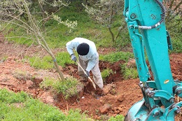 植え替え2017.3.30.2
