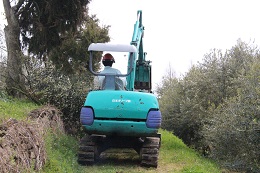 植え替え.2017.3.30