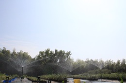 水やり、スプリンクラー.2