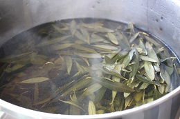 2017.2.1.3オリーブ染め