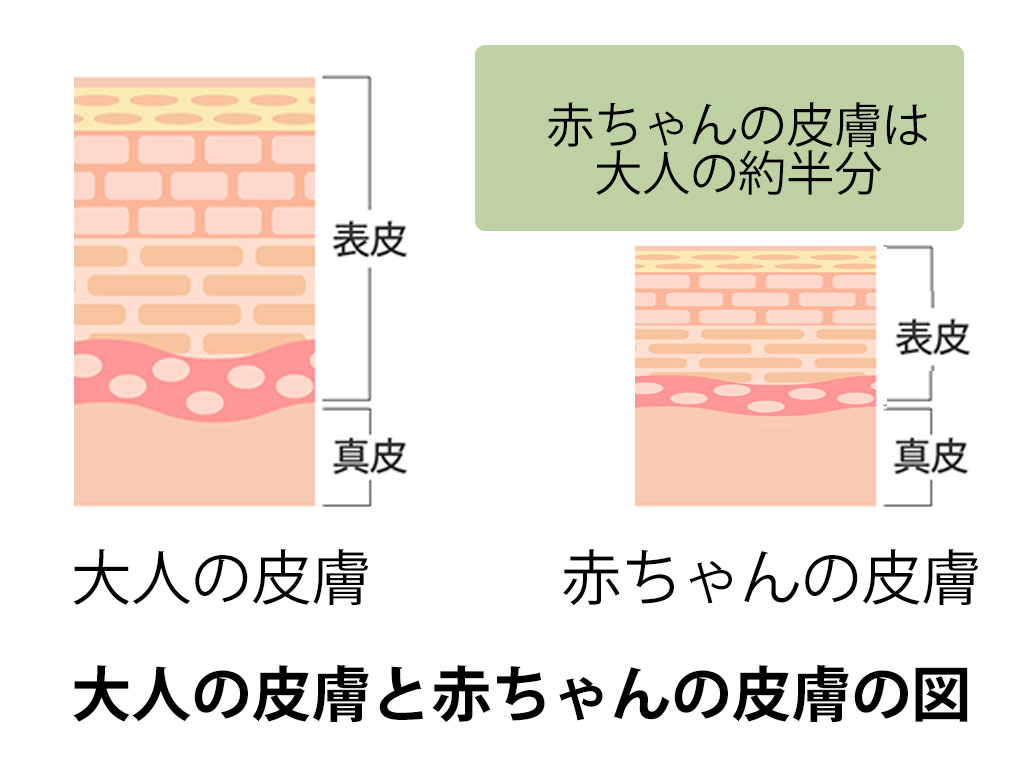 赤ちゃんの皮膚