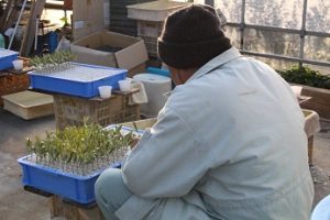 %e6%8c%bf%e3%81%97%e8%8a%bd1%e6%9c%8810%e6%97%a51