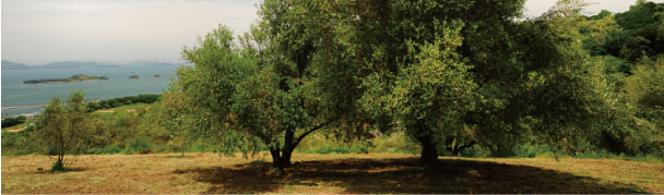 園長インタビュー01_01