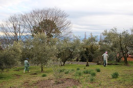 春の施肥作業2017.2.23.5