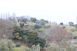 農園ブログ2月20日.3jpg