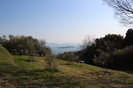 植え替え2017.3.18.7