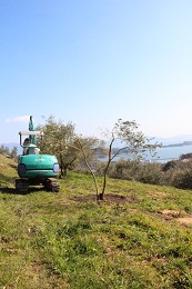 植え替え2017.3.18.2