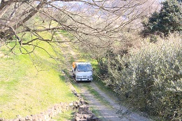 植え替え2017.3.18.9