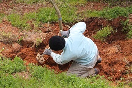 植え替え2017.3.30.3