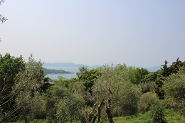 園内景色2017.5.11