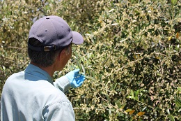 小笠原さん2017.6.5