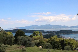 マンザニロ2017.9.11.8