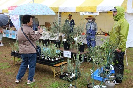 苗木相談会2017.10
