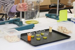 オイルテイスティング2017.110