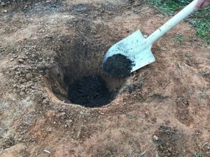 オリーブの木の植え替え方法 日本オリーブ公式通販 オリーブの木の植え替え方法 日本オリーブ公式通販