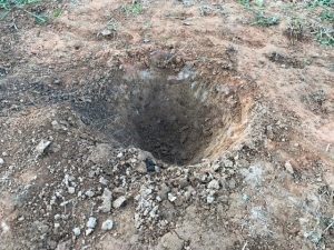 オリーブの木の植え替え方法 日本オリーブ公式通販 オリーブの木の植え替え方法 日本オリーブ公式通販