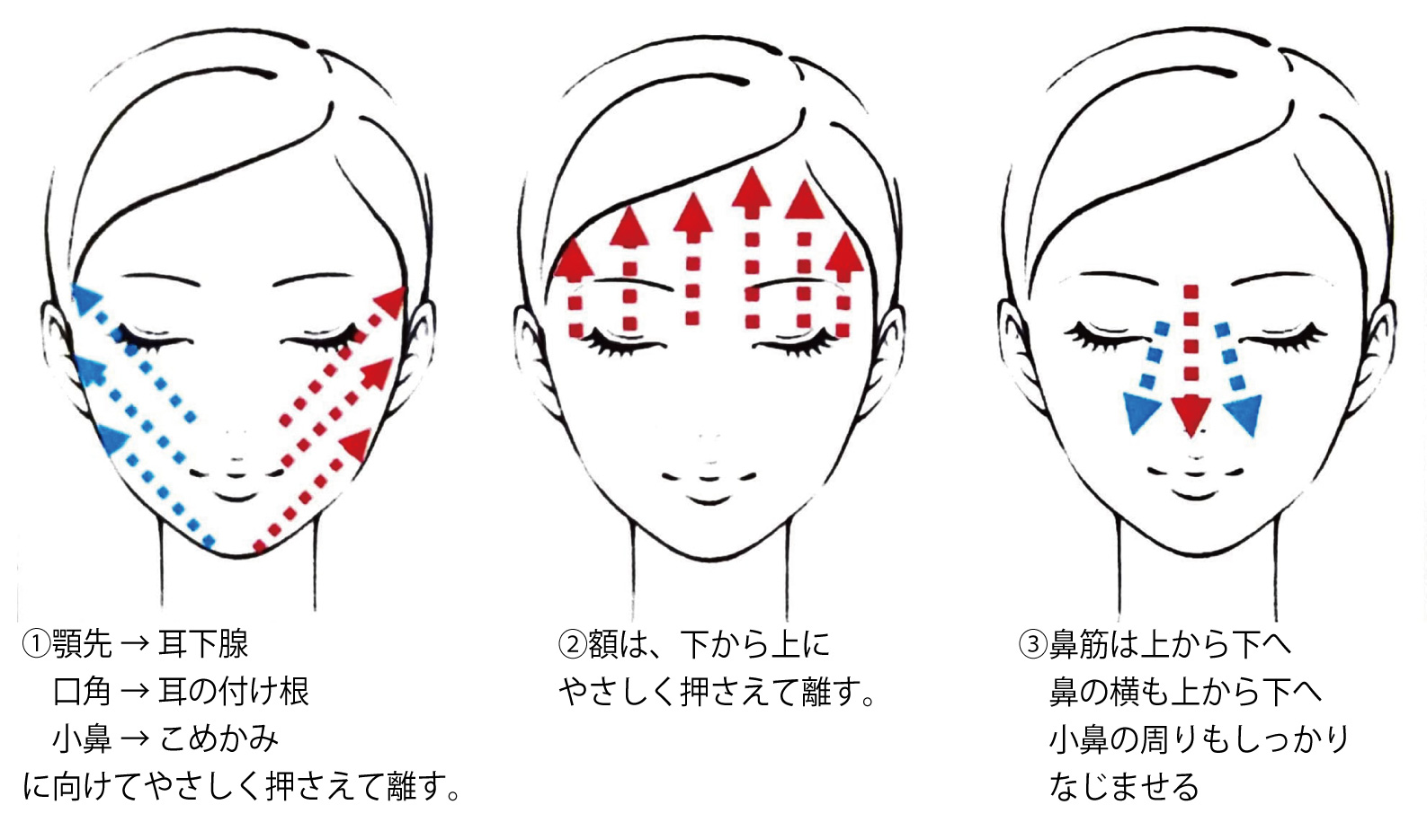 スキンケアの順番って 肌にやさしいスキンケア方法のご紹介 日本オリーブ公式通販 スキンケアの順番って 肌にやさしいスキンケア方法のご紹介 日本オリーブ公式通販