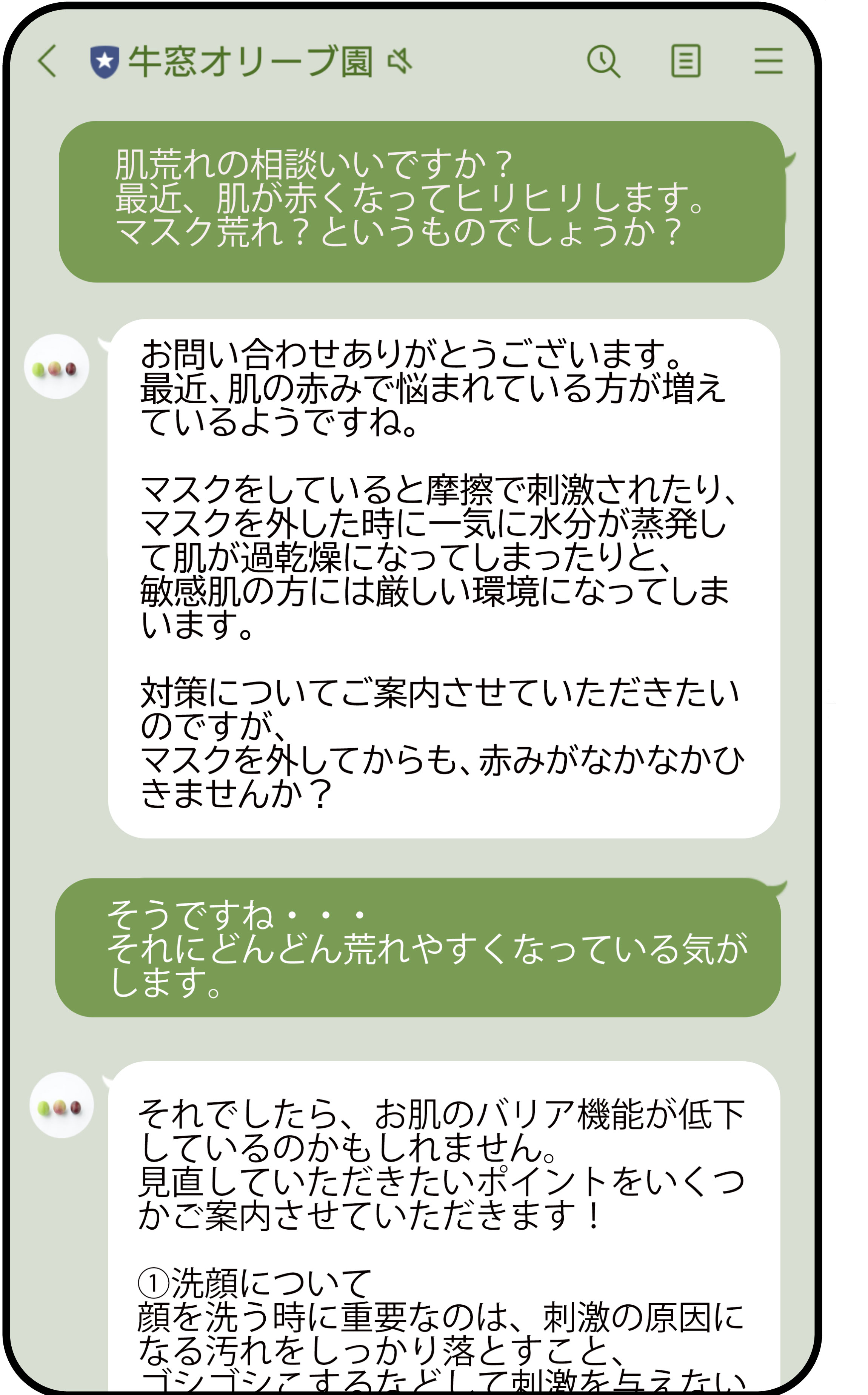 Lineお客様窓口オリーブ専門の日本オリーブオンラインショップ Lineお客様窓口オリーブ専門の日本オリーブオンラインショップ