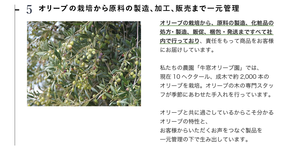 �I���[�u�͔̍|���猴���̐����A���H�A�̔��܂ňꌳ�Ǘ�