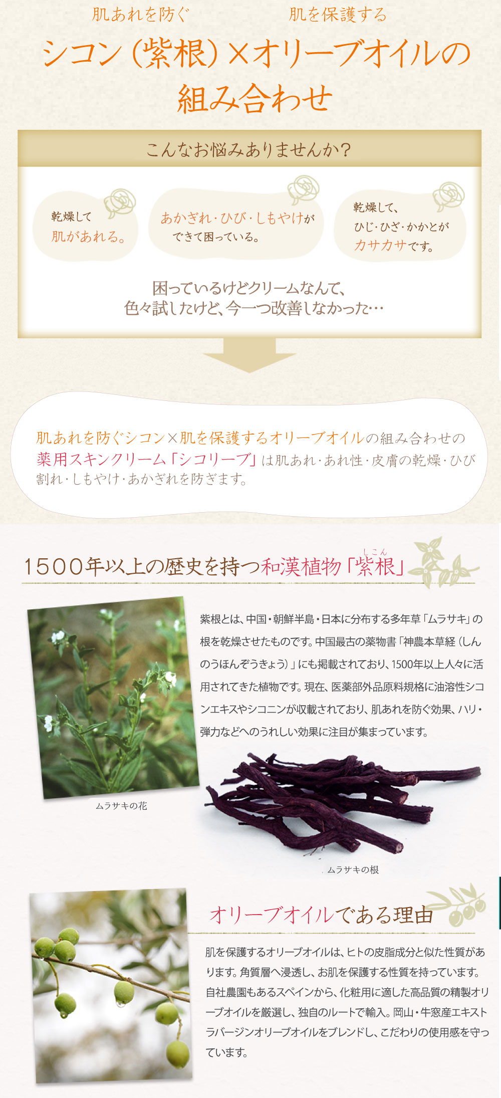 シコリーブ 薬用スキンクリーム 80g(チューブ) 肌あれ 乾燥に｜オリーブ化粧品の日本オリーブ公式通販 オリーブのハンドクリーム スキンクリーム