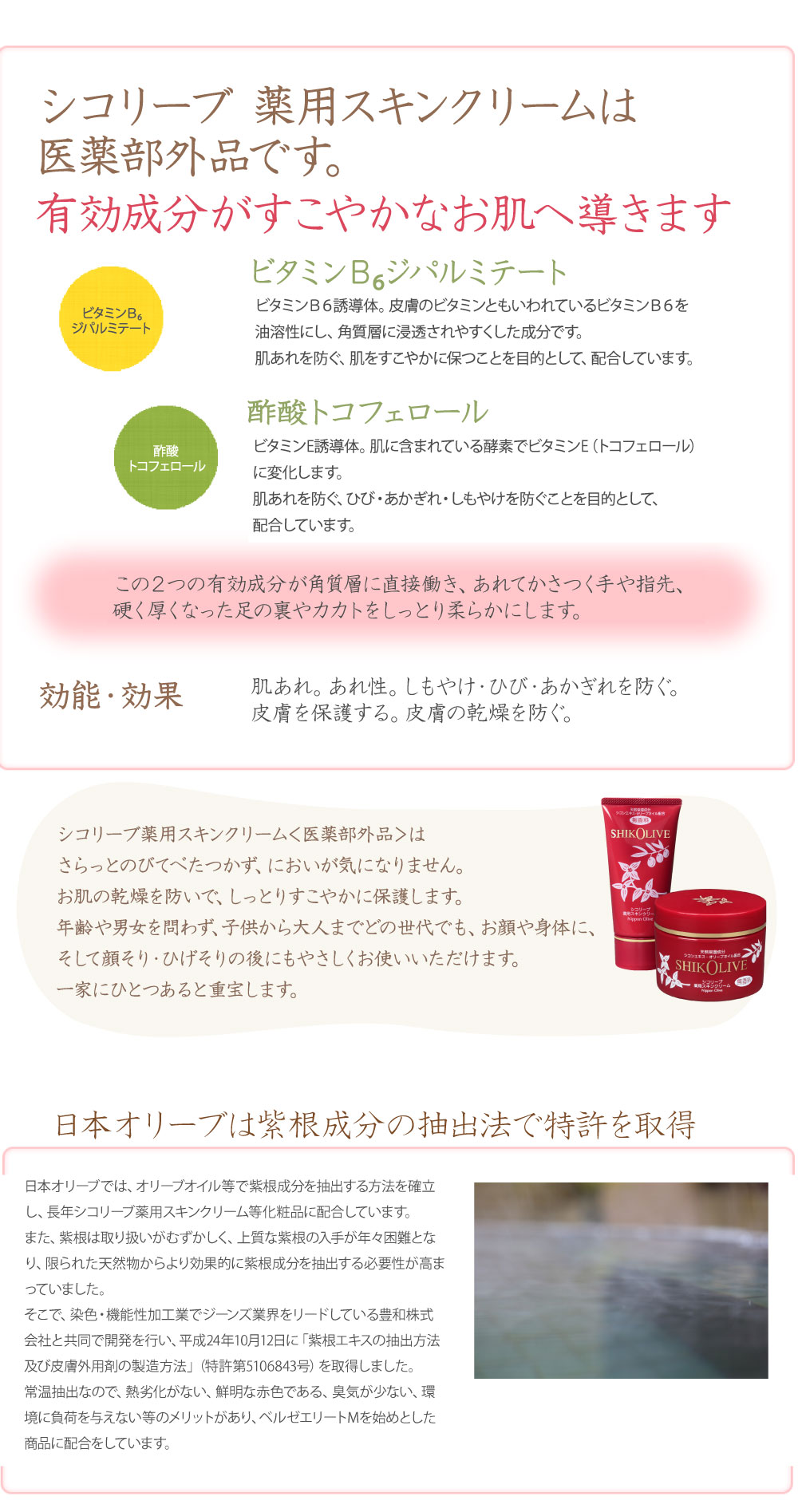 シコリーブ 薬用スキンクリーム 80g(チューブ) 肌あれ 乾燥に｜オリーブ化粧品の日本オリーブ公式通販 オリーブのハンドクリーム スキンクリーム