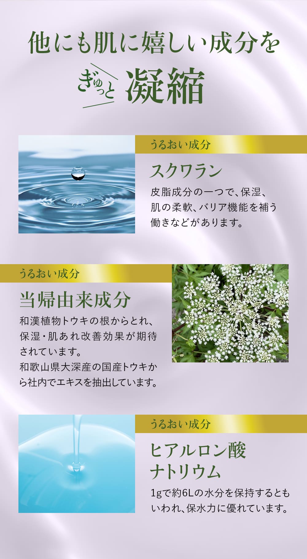 シコリーブ 薬用スキンクリーム 80g(チューブ) 肌あれ 乾燥に