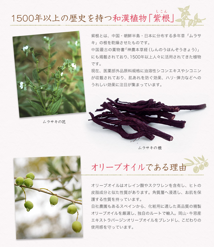 自然派オリーブ化粧品の薬用スキンクリーム シコリーブ【医薬部
