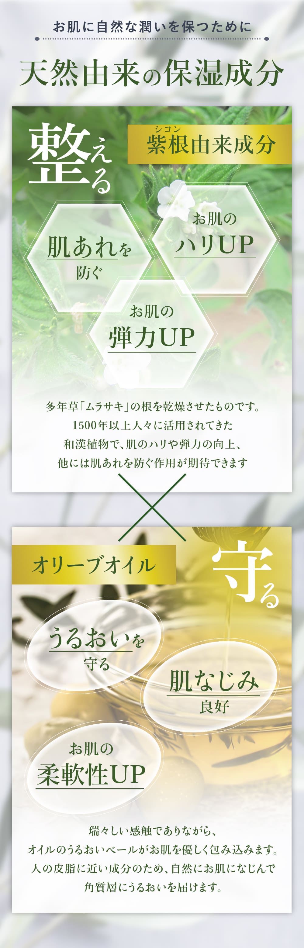 シコリーブ 薬用スキンクリーム 80g(チューブ) 肌あれ 乾燥に