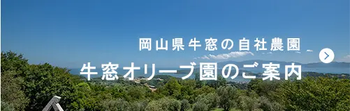 牛窓オリーブ園のご案内