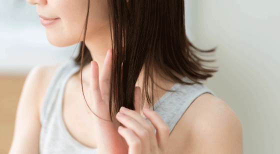 ���̖ѐ�P�A