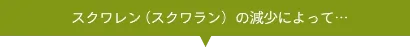 XN(XN)̌ɂ