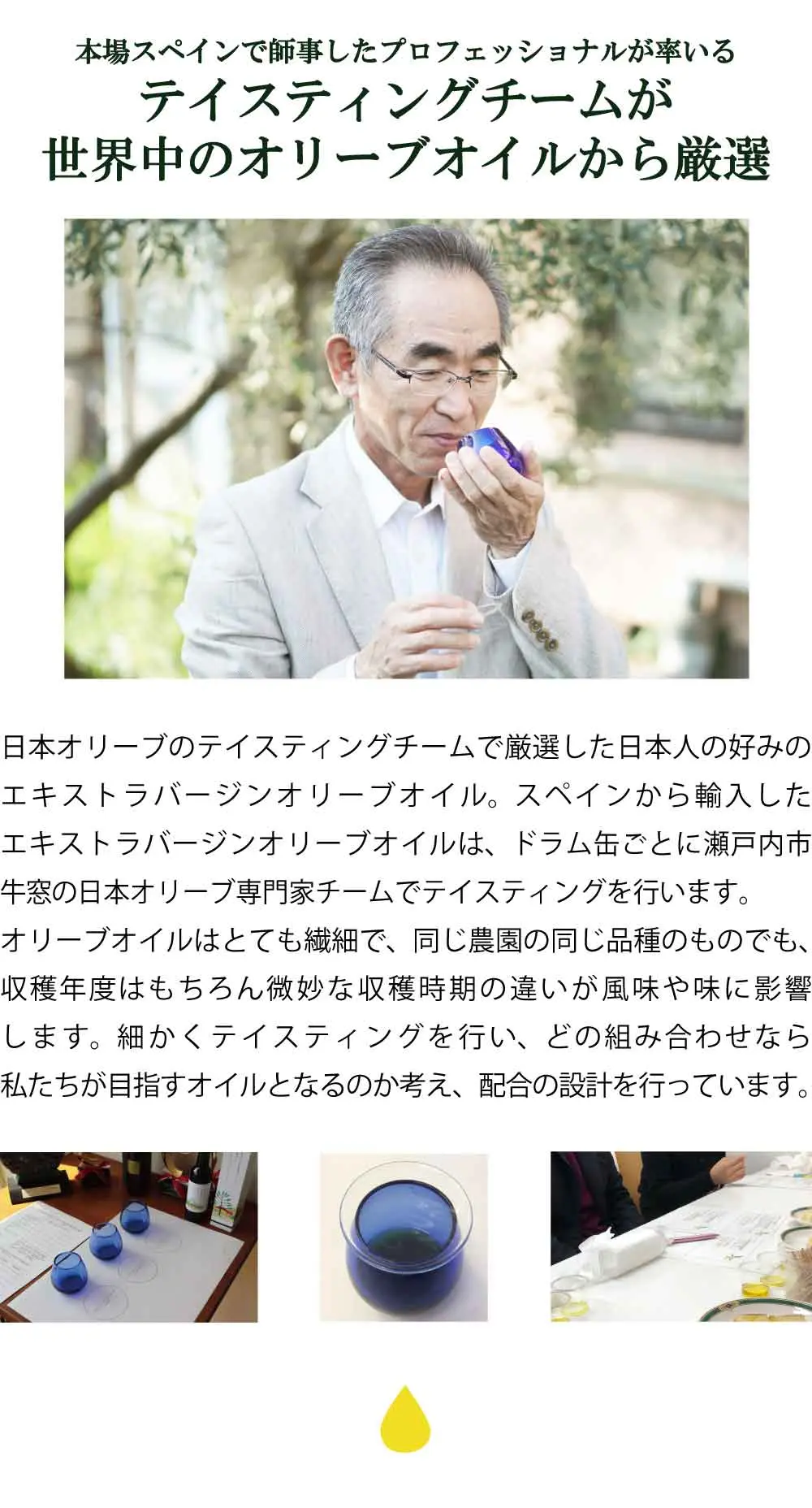オリーブの実　摘みたて　無農薬 オリーブの実 摘みたて 無農薬 オリーブの実 摘みたて 無農薬