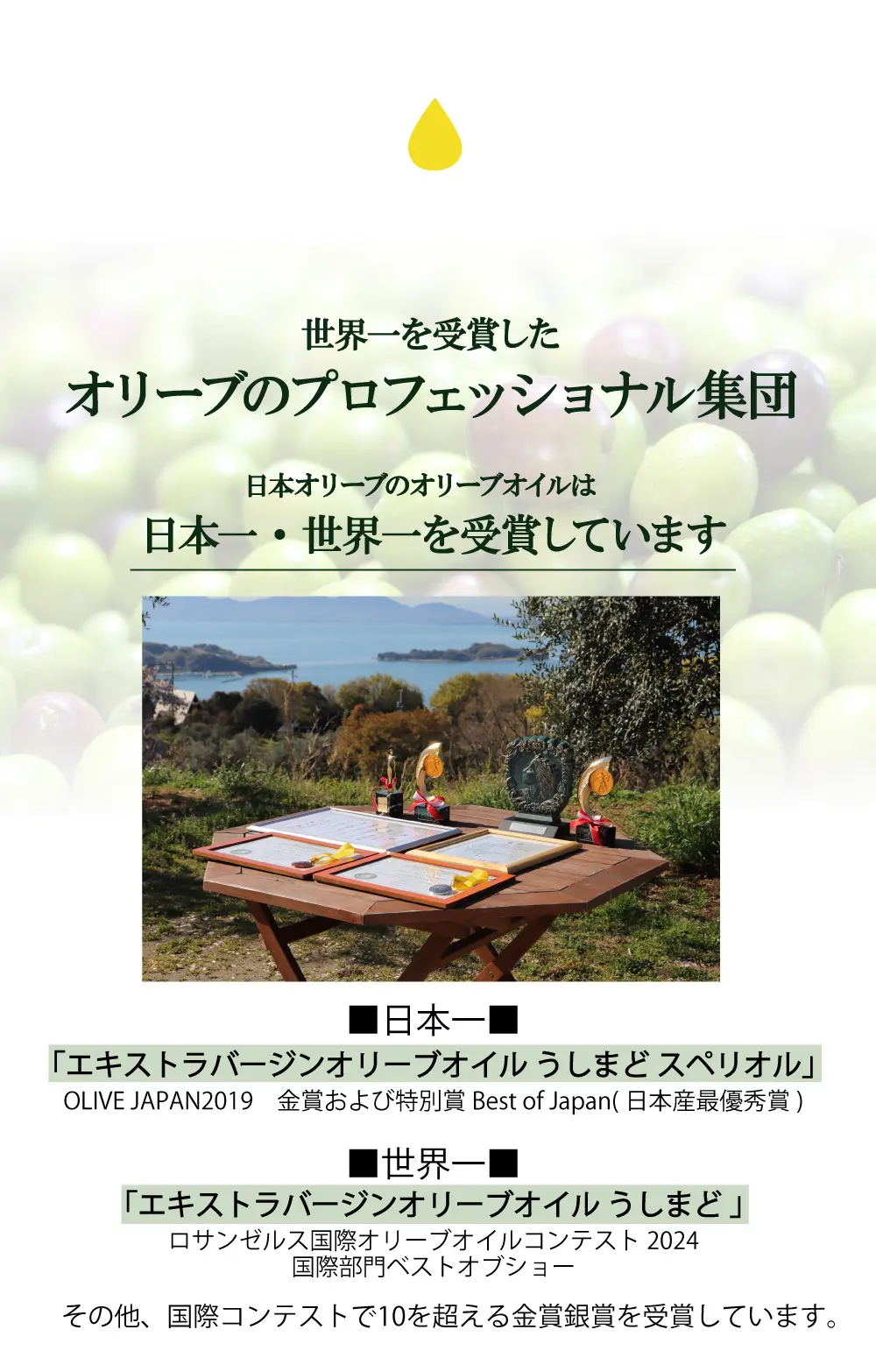 有機栽培エキストラバージンオリーブオイル ブレンド 450g徳用（有機