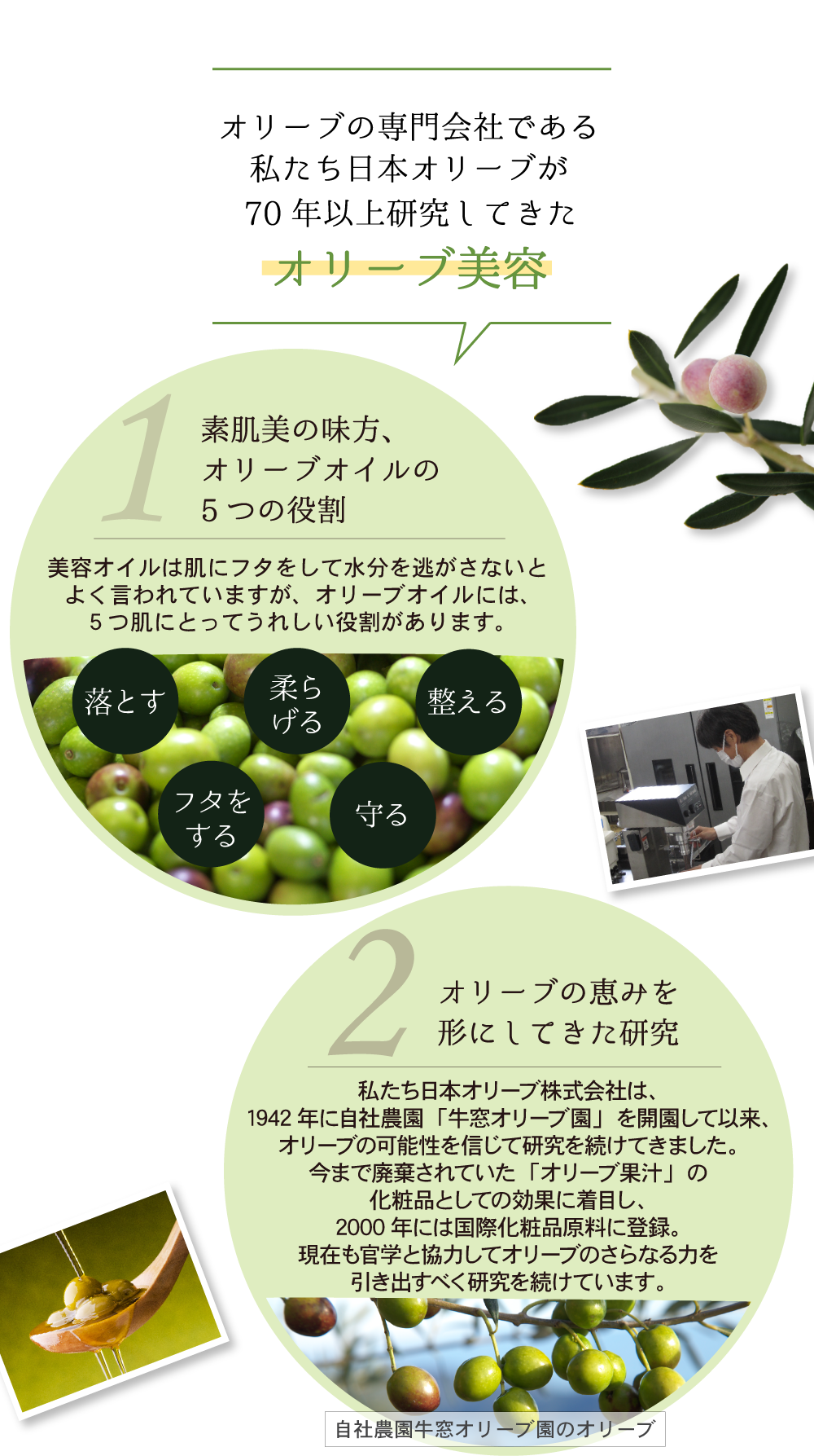 オリーブスキンケア人気アイテム体験セット 基礎化粧品 日本オリーブオンラインショップ