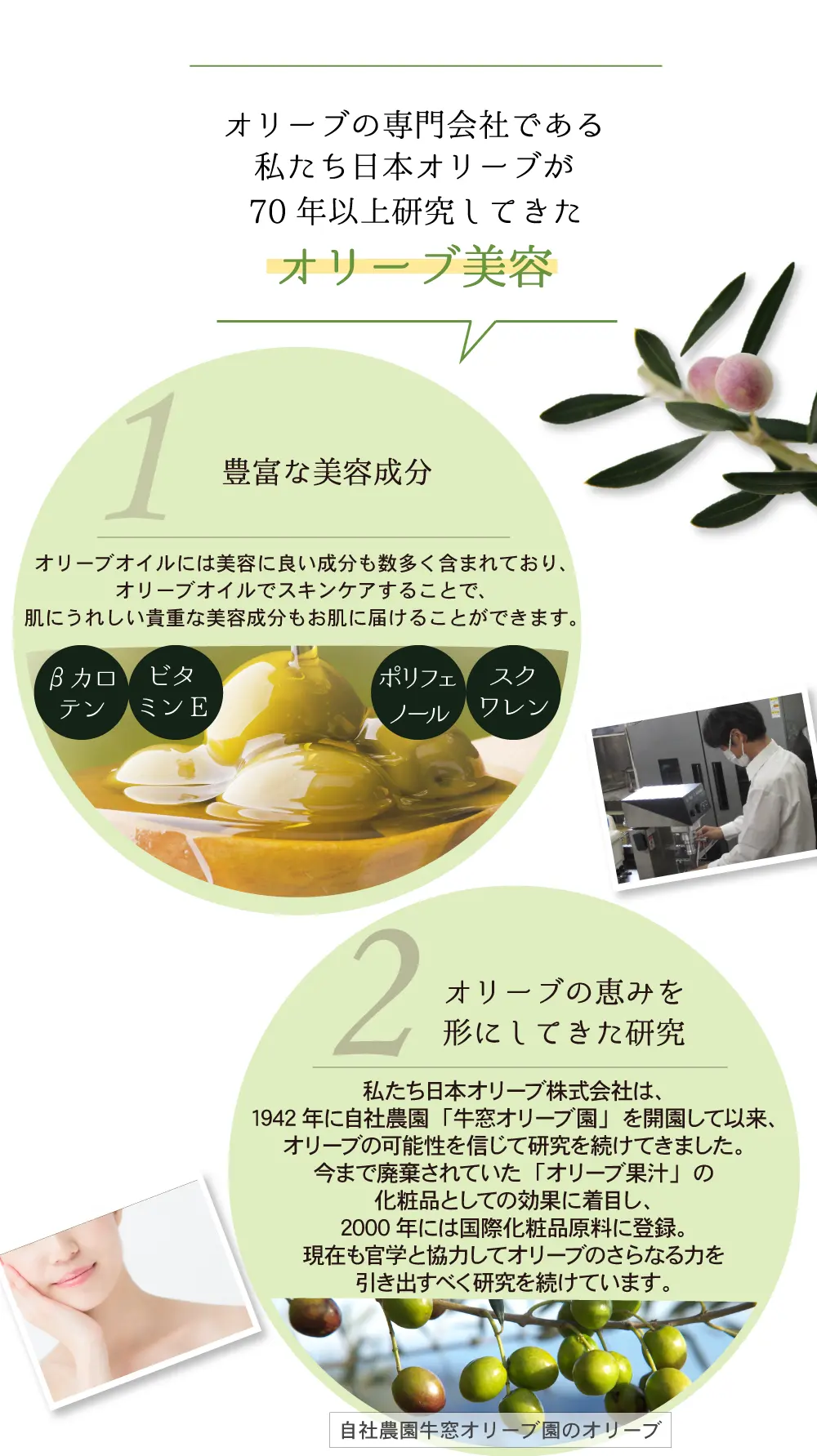 オリーブスキンケア人気アイテム体験セット 基礎化粧品 日本オリーブ