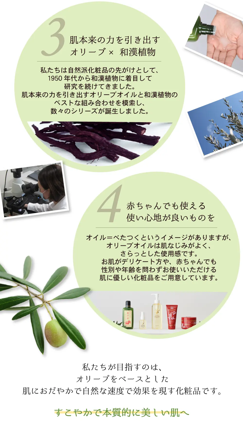 オリーブスキンケア人気アイテム体験セット 基礎化粧品 日本オリーブ