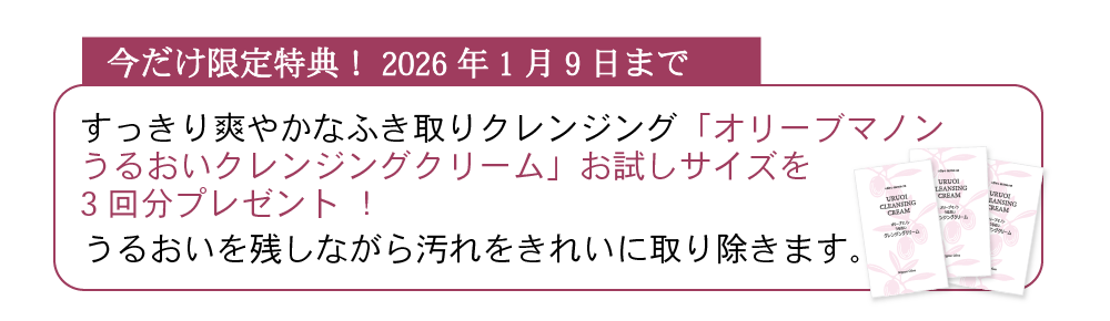 オリーブスキンケア人気アイテム体験セット 基礎化粧品 日本オリーブ
