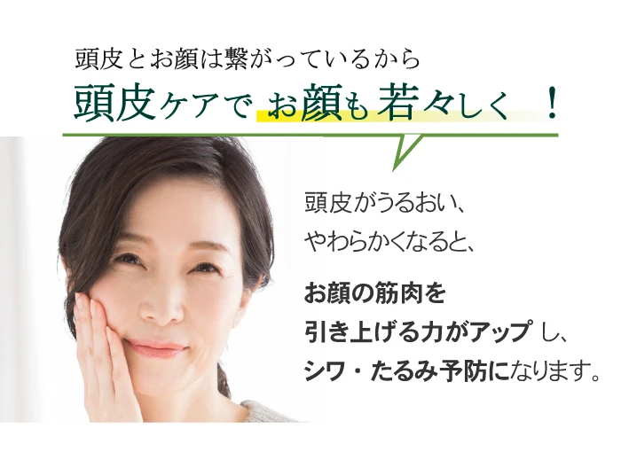 化粧用オリーブオイル_頭皮クレンジングセット|化粧用オリーブオイルで